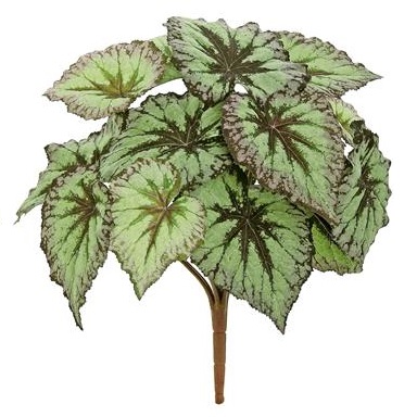 Unpotted Begonia Leaf Plant GR/PUR - Greenery & Floral - Begonia Leaf Filler artificial